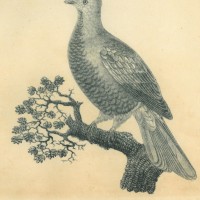 Picture 1