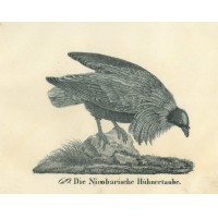 Picture 1