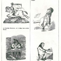 P(occi), Franz von. Bild 1