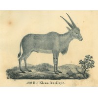 Picture 1