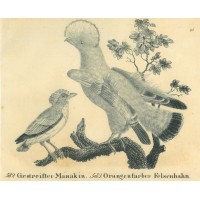 Picture 1