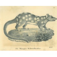 Picture 1
