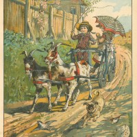 Schmidt, Julius. Picture 1