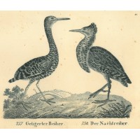 Picture 1