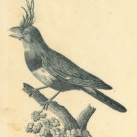 Picture 1