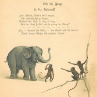Krüger, Helene. Picture 1