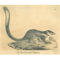 Picture 1