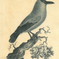 Picture 1