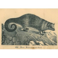 Picture 1