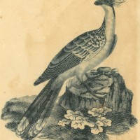 Picture 1
