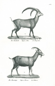 Picture 1