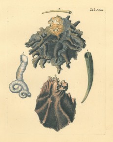 Picture 1