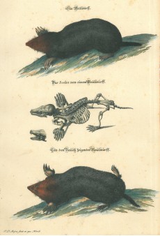 Picture 1
