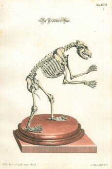 Picture 1