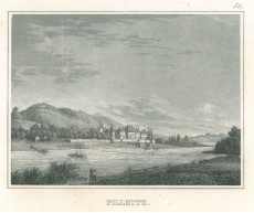 Picture 1