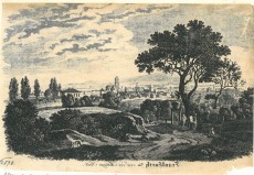 Picture 1