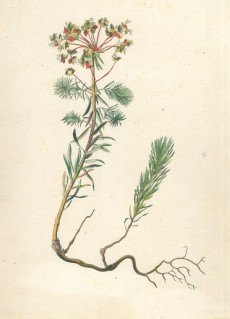 Picture 1