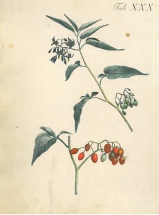Picture 1