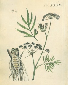 Picture 1