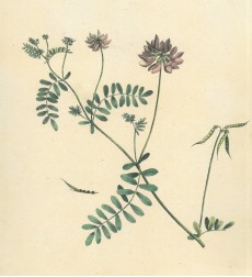 Picture 1