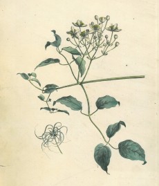 Picture 1