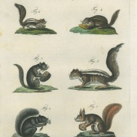 Picture 1