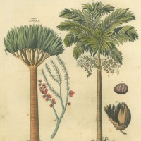 Picture 1