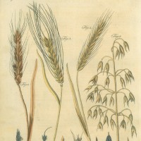 Picture 1