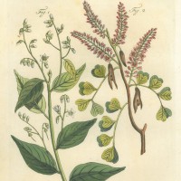 Picture 1