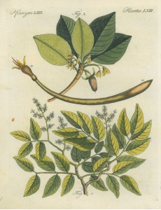 Picture 1