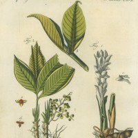 Picture 1