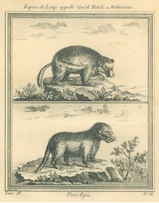 Picture 1