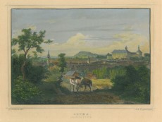 Picture 1