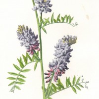 Picture 1