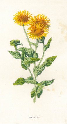 Picture 1