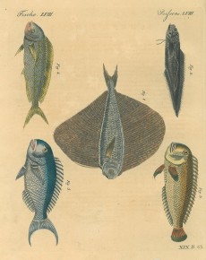Picture 1