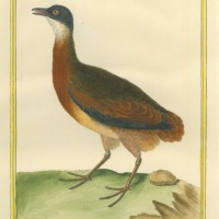 Picture 1
