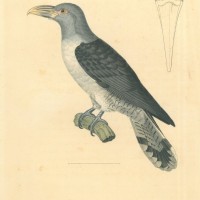 Picture 1