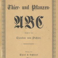 Pichler, Theodor von. Picture 1