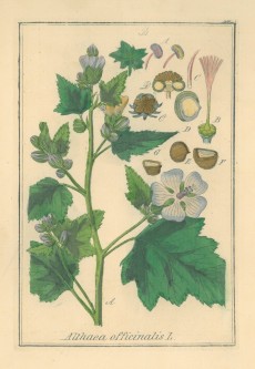 Picture 1