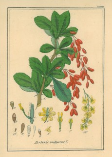 Picture 1