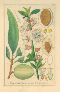 Picture 1