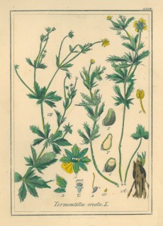 Picture 1