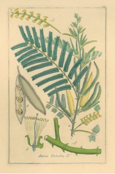 Picture 1
