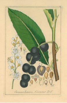 Picture 1