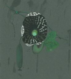 Picture 1