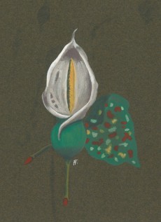 Picture 1