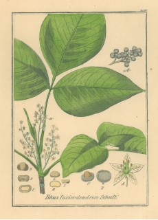 Picture 1