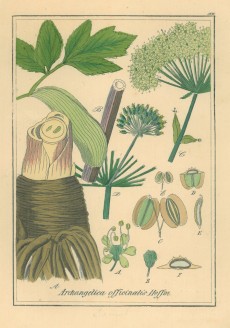 Picture 1