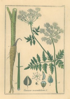 Picture 1